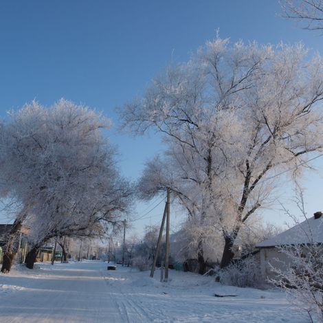 Зимой на улице Коренной